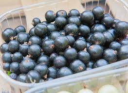 Cassis 250g