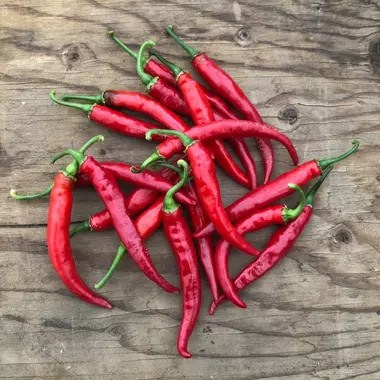 Piment de Cayenne