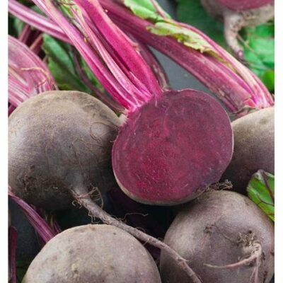 Betterave rouge "Egypte" botte d'environ 1kg