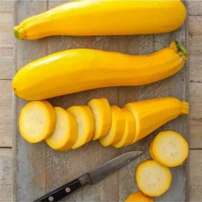 Courgette jaune gold rush