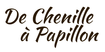 De Chenille à Papillon