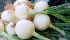 Oignon blanc