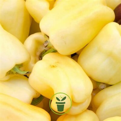 Poivrons en melange 400g