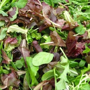 Aromates pour salades - Sachet 150g