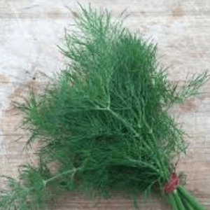 Bouquet aromate aneth