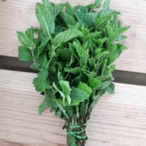 Bouquet aromate menthe