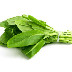 Bouquet aromate Oseille