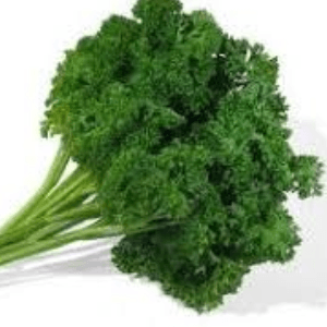 Bouquet aromate persil - "Plat";"PLA-2