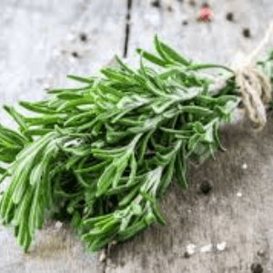 Bouquet aromate romarin