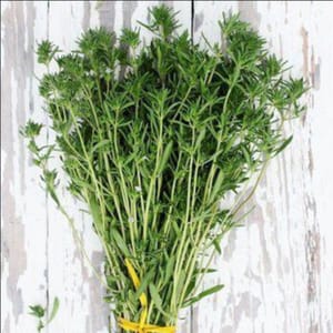 Bouquet aromate sarriette