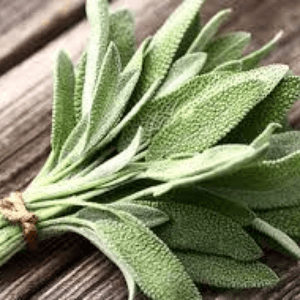 Bouquet aromate sauge