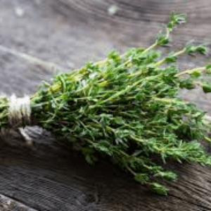 Bouquet aromate thym
