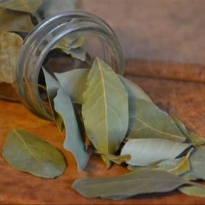Feuilles de laurier séchées