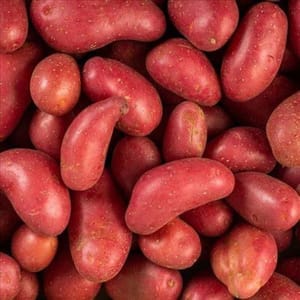 Pommes de terre nouvelles 500g