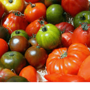 Tomates 750g
