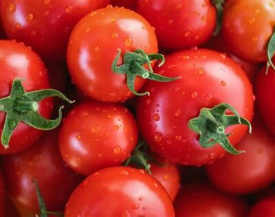 Tomates 1kg