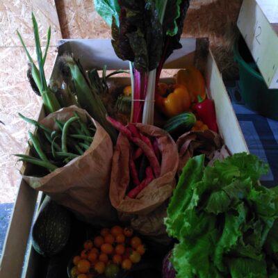 Panier de légumes du lundi 12 mai