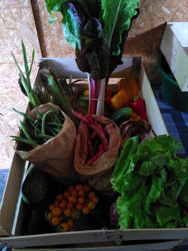 Panier de légumes du lundi 5 mai