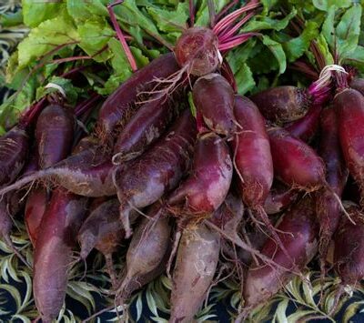 Betteraves rouges allongées 1kg
