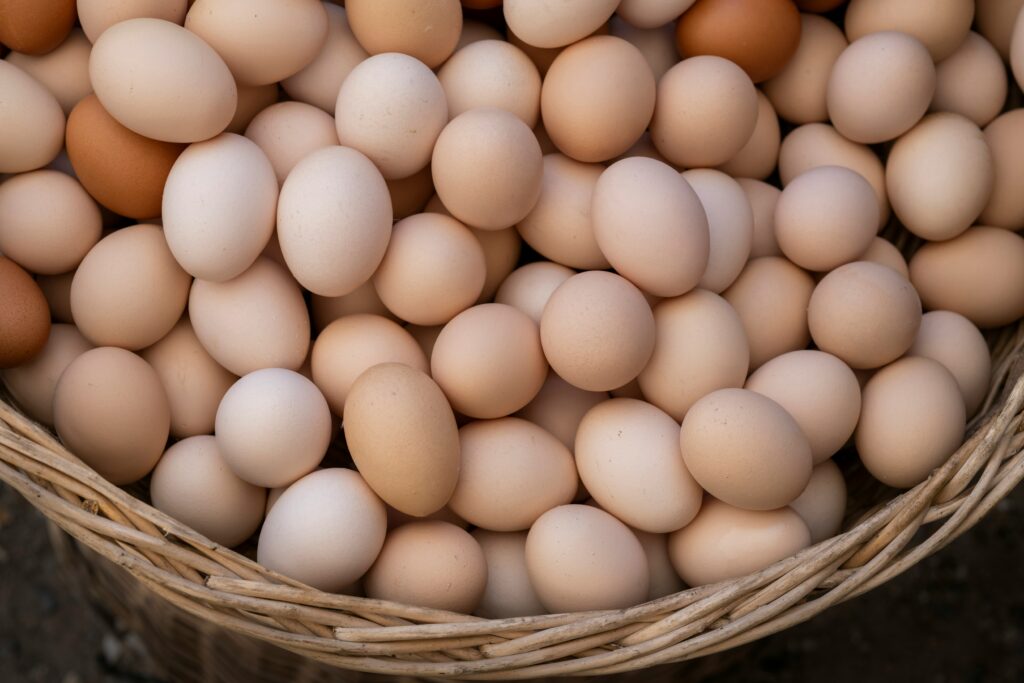 Oeufs bio extra frais