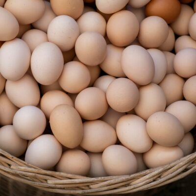 Oeufs bio ultra frais