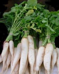 Botte de radis d'hiver (blanc et rose) 750g