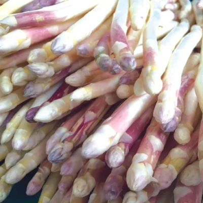 Asperge